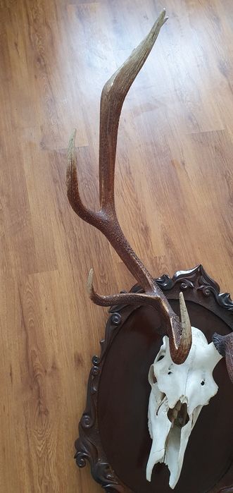 Сувенир на подарок