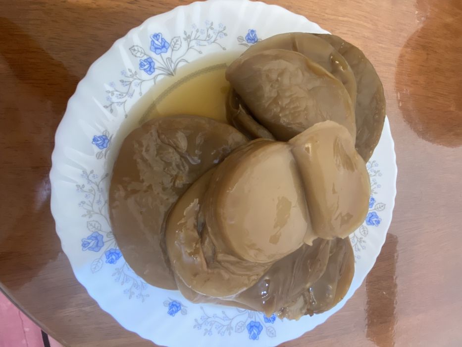 Чайный гриб комбуча