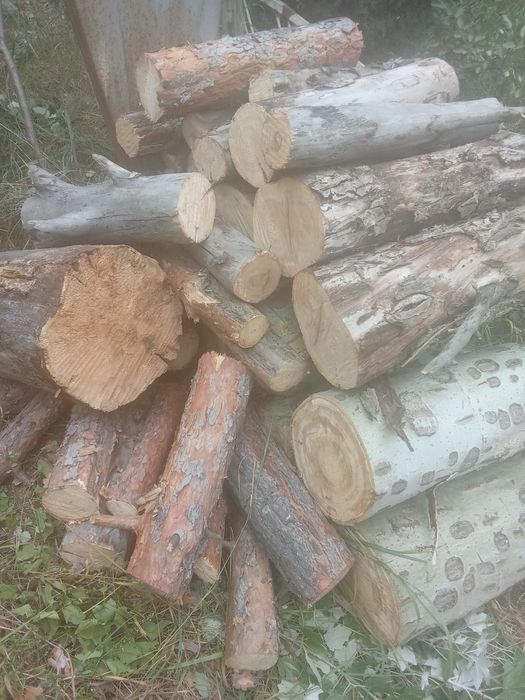 Камазбен сатамын