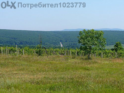 Продавам дворно място 1045 м2 , на 10км oт морето -16000 евро