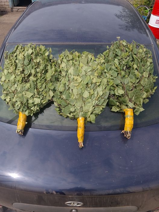 Веники берёзовые