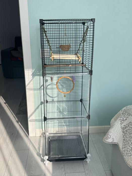 Волнистые попугаи с клетками