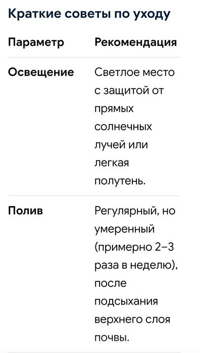 Цветы комнатные. доставки нет.