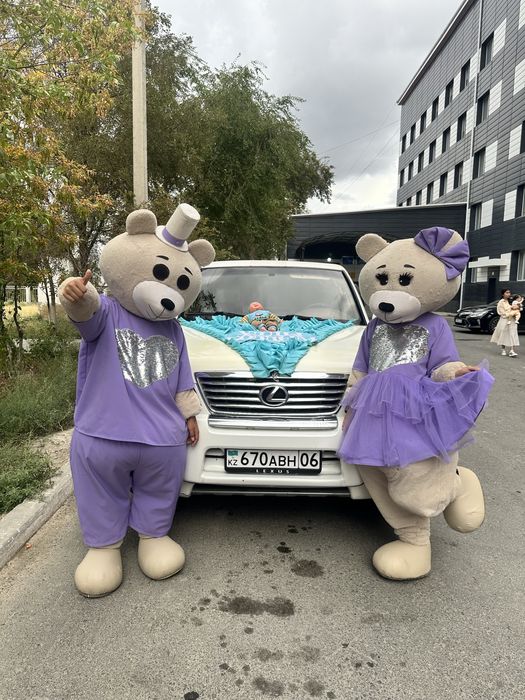 Аниматор _тедди_Атырау