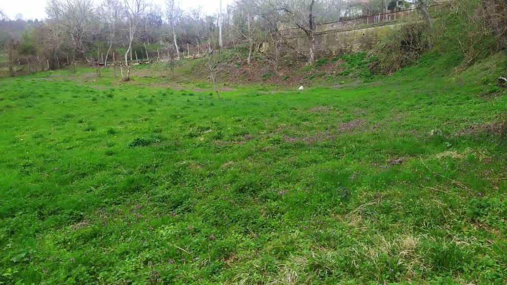 Продава се Парцел в с. Войнежа, Област Велико Търново - 2167 кв.м за 7 €/кв.м - Снимка #2