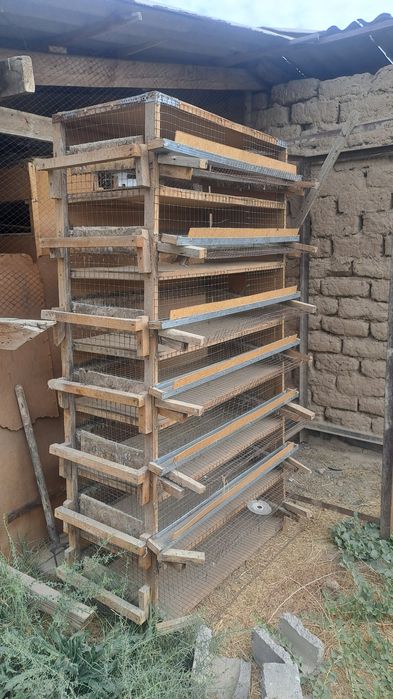 Срочно прадам готовый бизнес перепелиный ферма