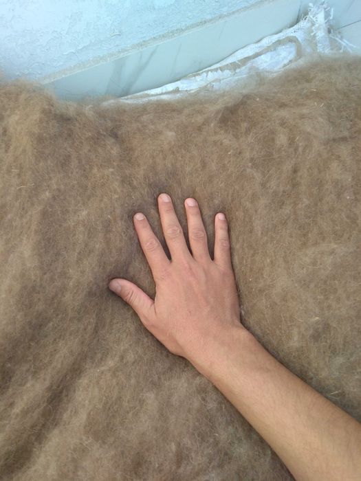 шерсть верблюда для одеяла и лечения