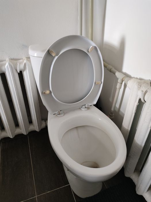 Унитаз белый буу