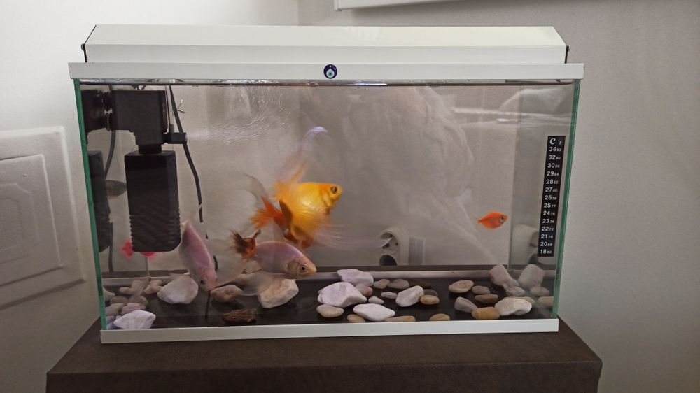 Аквариум + помпа и нагревател -  50 литра