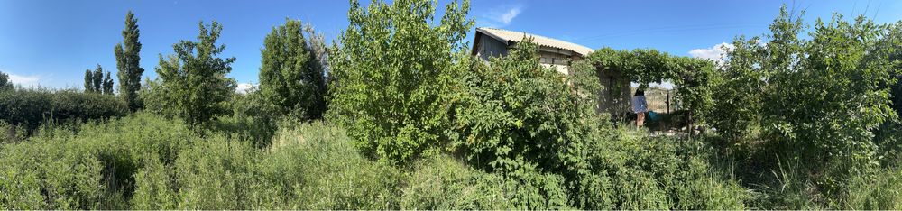 ОЧЕНЬ СРОЧНО продается дача в Алмалы.