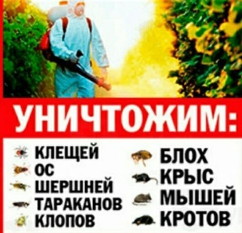 Тараканы.Мраморные клопы .Результат 100%.