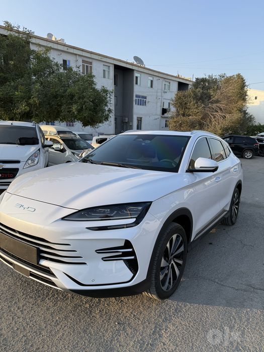 BYD champion gibrid 2025