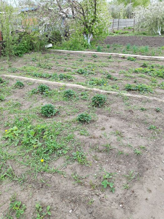 Продам дачу 10 сот