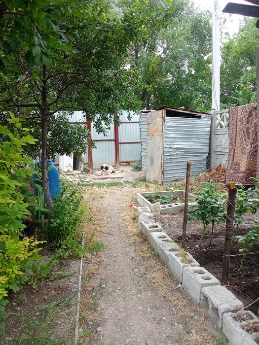 Продам дом барачного типа