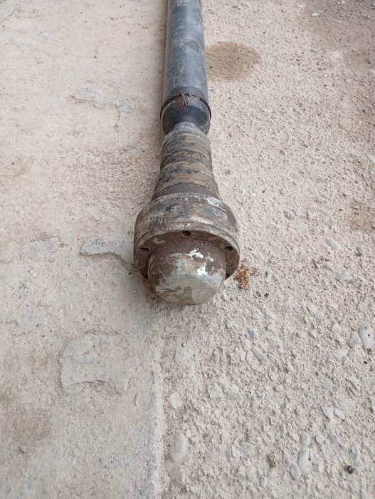 Каптивага Кардан