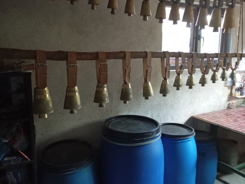 Чанове Звънци с каишки