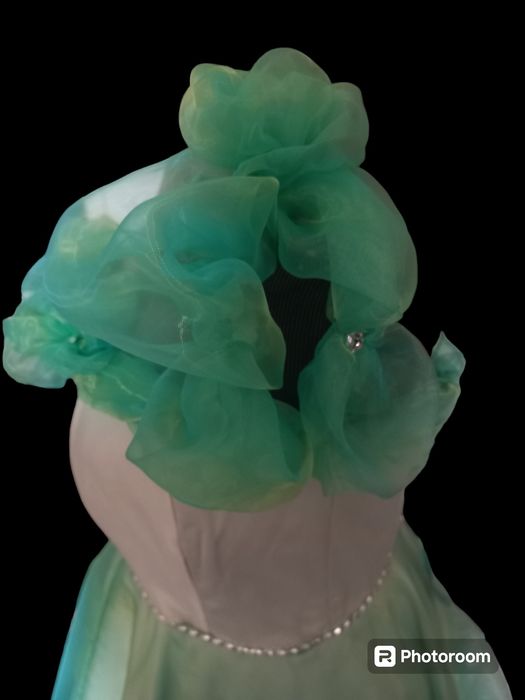 Rochita tafta și organza