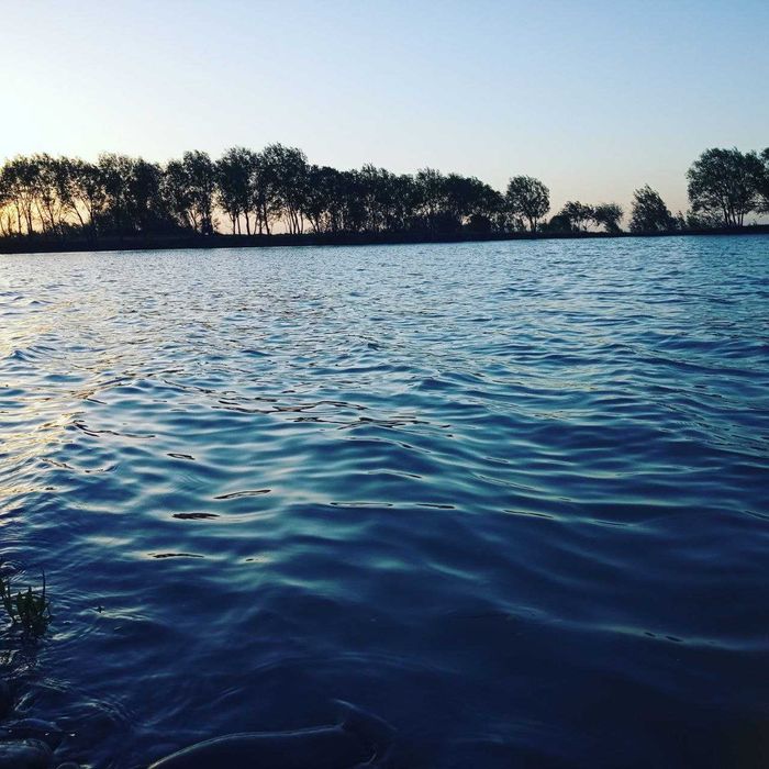 4 Гектарли балиқ хавзаси сотилади 20 000 та балиғи билан.