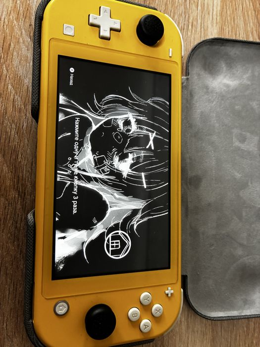 Nintendo switch lite