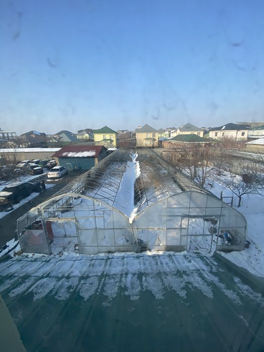 Теплица.  парник