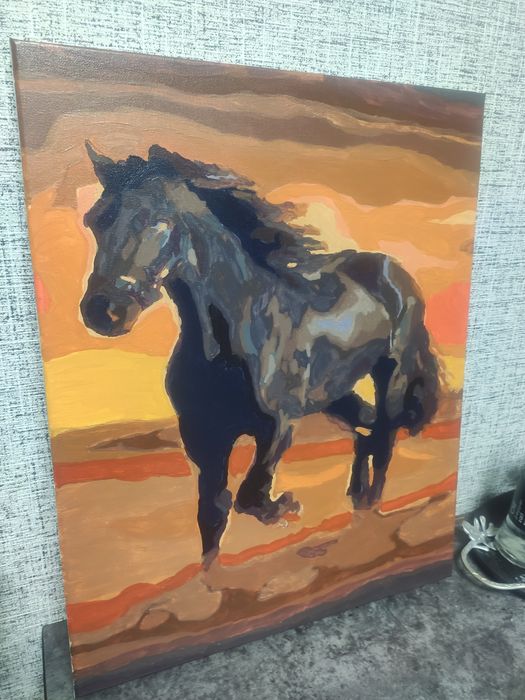 Картина по номерам, готовая