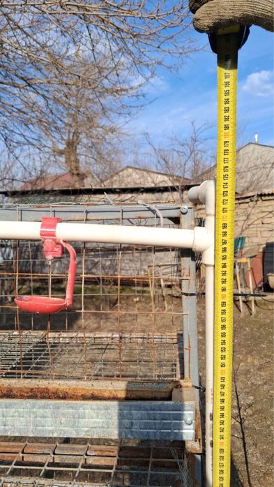 Товук катак сотилади