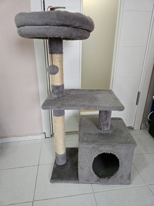 Котешка катерушка