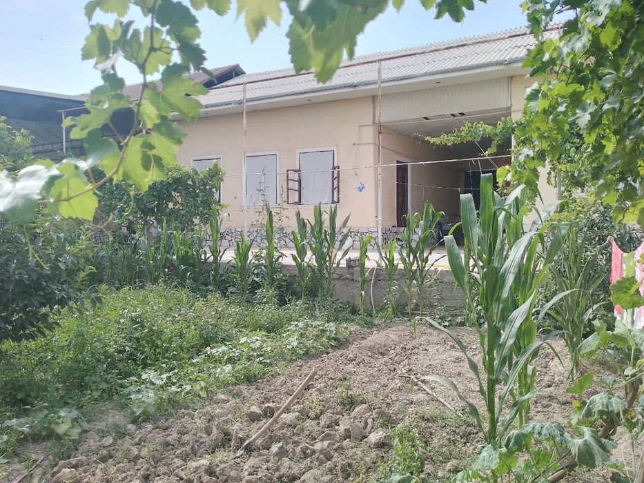 Срочно ховли сотилади яхши нархда