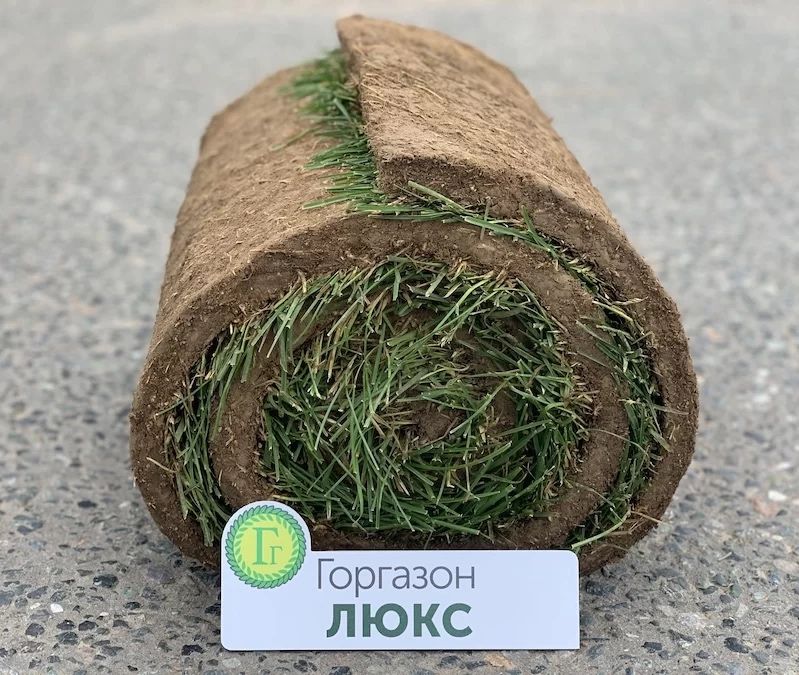 Рулонный газон оптом в большом объеме