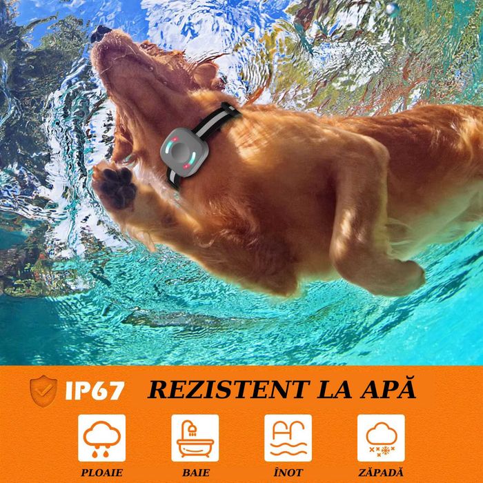 Zgarda pentru Dresaj Caini cu Telecomanda