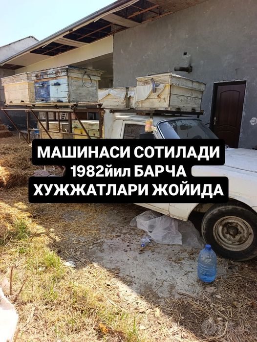 Пикап ГАЗ 24/0 сотилади  1982 йил асалари яшиклари жойласаям бўлади ,,
