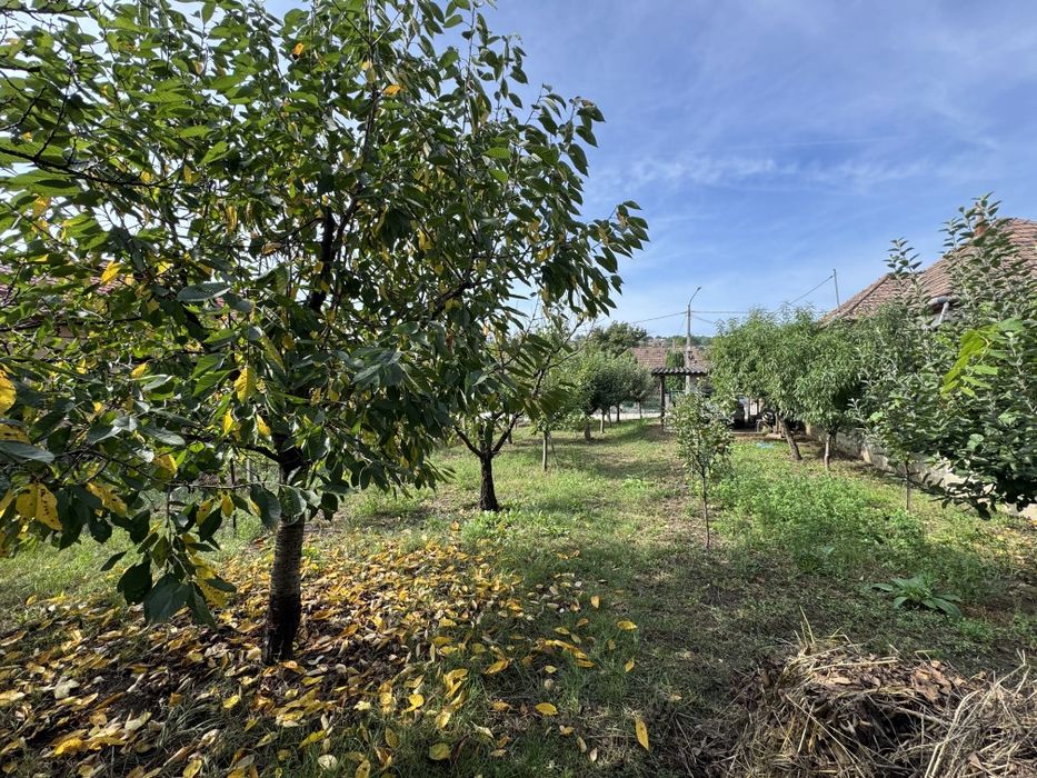 Casă de vânzare în Târnăveni, zonă liniștită – Strada George Coșbuc