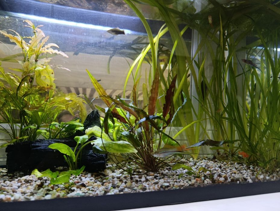 Новый аквариум 110 литров со всем