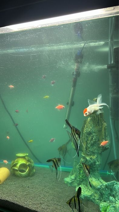 АКВАРИУМ Заводской 180л