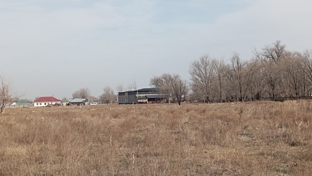 Без пв 12 айға рассрочка