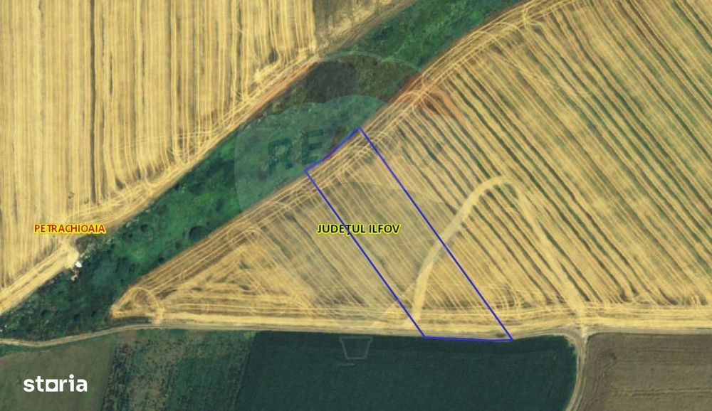 Teren Extravilan Petrachioaia