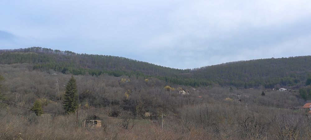 Продава се Парцел в Севлиево - 1300 кв.м за 8 €/кв.м - Снимка #2