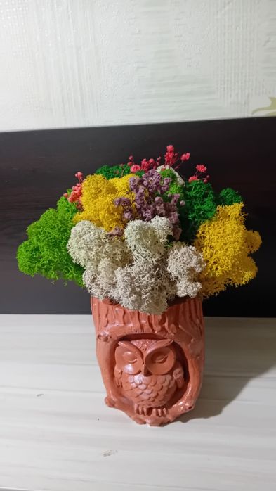 Кашпи със скандинавски мъх