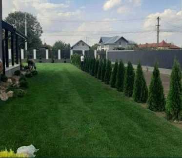 Gazon Rulou, Sisteme de irigare