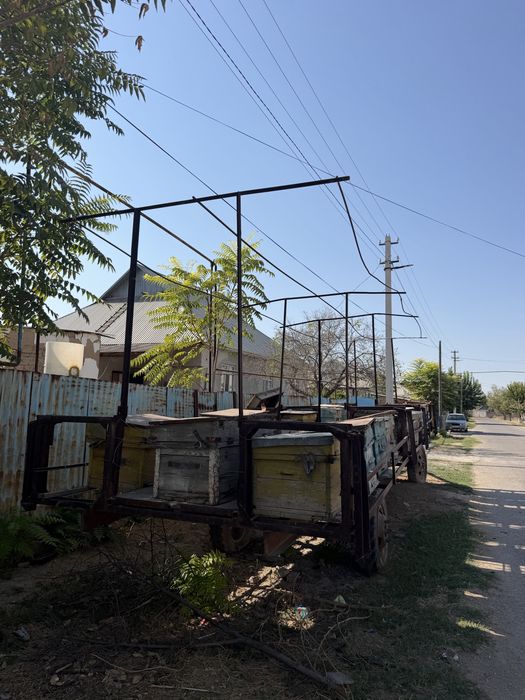 Пчеловодческий прицеп для перевозки ульев