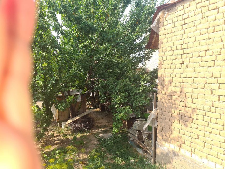 Limonariyada yer sotiladi 3.3 sotok