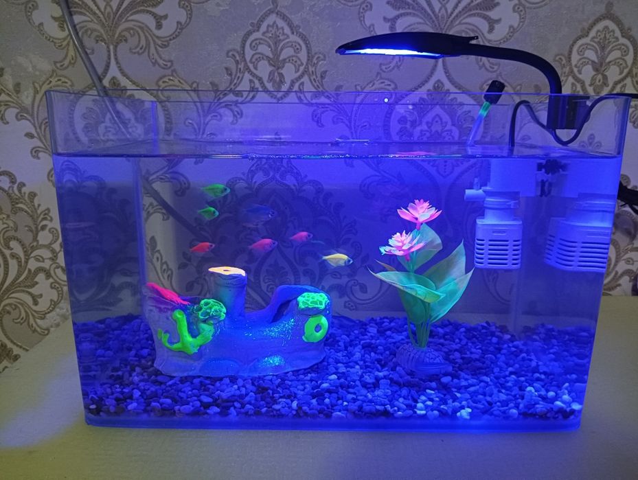 Xitoy quyma akvarium 15 litr komplekti