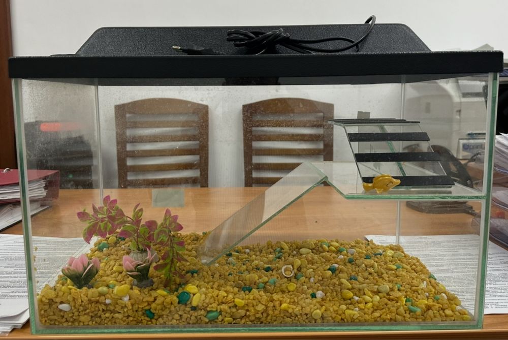 Заводской аквариум для черепах