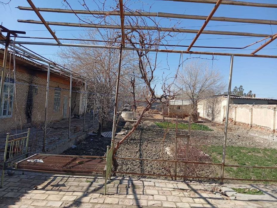 Бухоро вилоят Коракул туманида участка сотилади