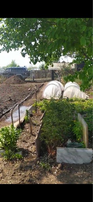 Продам дачу сад Здоровье