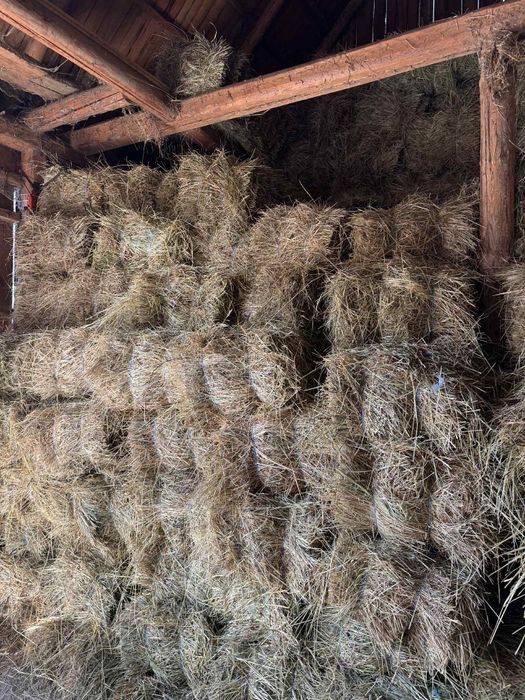 Baloti de fan de vanzare