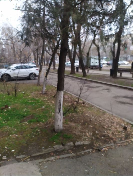 Помещение под бизнес.