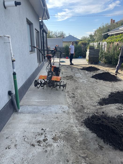 Gazon rulou și plante Ornamentale