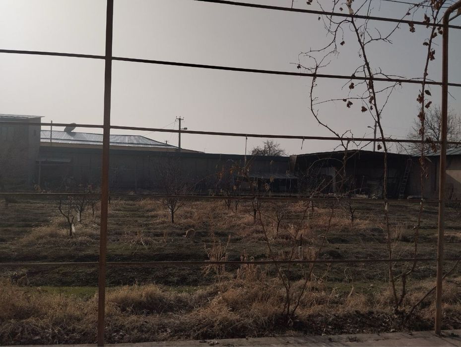 Поодается участо 12сот махалля Жар бош янги узбекистан