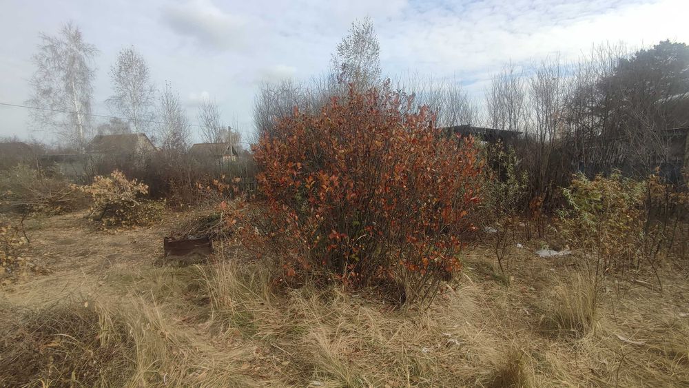 Дача в СТ Ёлочка (напротив п. Солнечный)